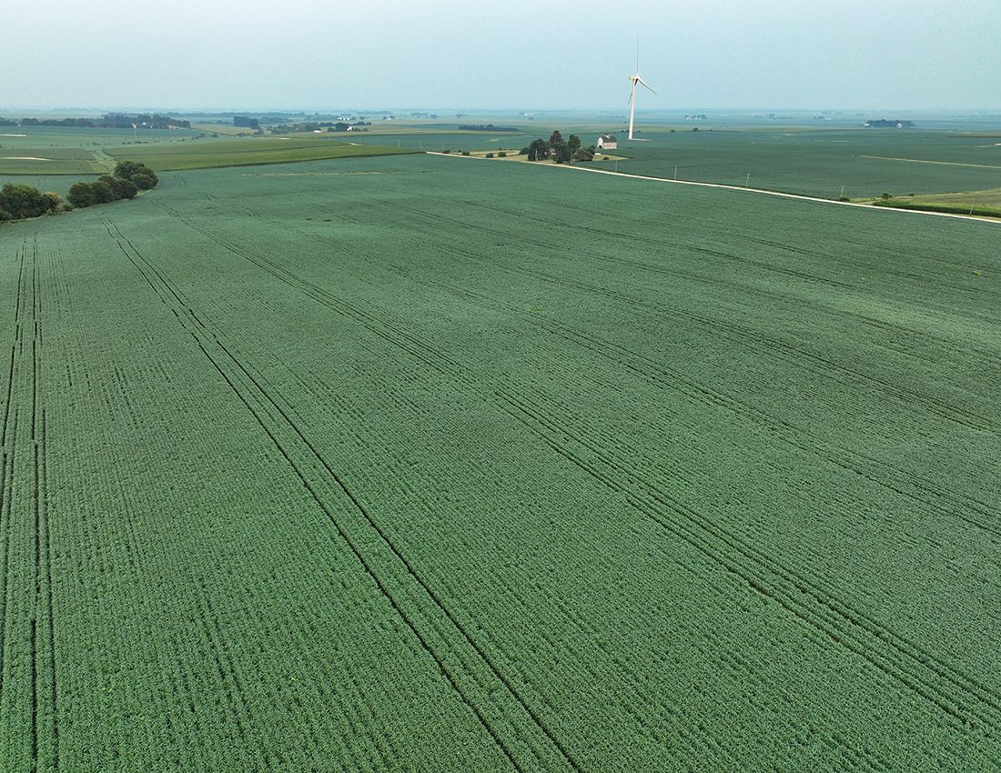 Listing Photo: Lee county land for sale